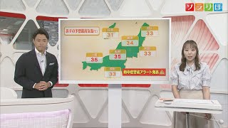 【気象予報士が解説】厳しい暑さ続く見込み 25日は熱中症警戒アラート 台風の影響も　スーパーJにいがた7月24日OA