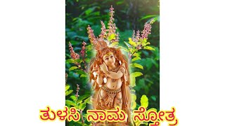 tulasi nama stothra ತುಳಸಿ ನಾಮ ಸ್ತೋತ್ರ mouna ಮೌನ youtube @colourfullsis3764