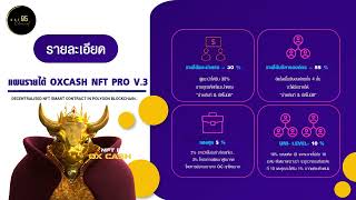 แผนรายได้ Oxcash NFT Pro