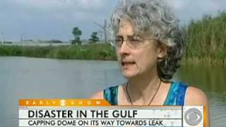 Gulf Spill Capping The Leak