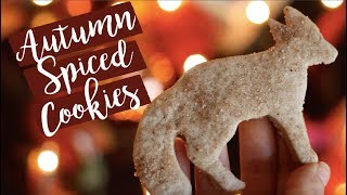 Woodland Creature Autumn Spiced Cookies🍂🍁  | Fall DIYs