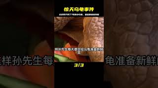 北京男子撿到小烏龜，養7年發現不對勁，警方得知后立即將其帶走 #纪录片 #x調查 #紀錄片 #抗日 #纪录片解说