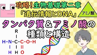 【生物基礎】タンパク質＆アミノ酸 ～その種類と構造～【初心者でも分かる】めたもる高校生物