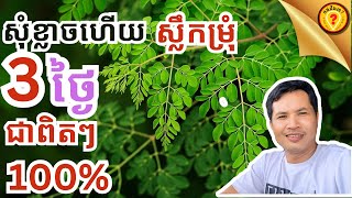 Moringa is the best herbal plant for cholesterol and heart attack disease ស្លឹកម្រុំល្អណាស់