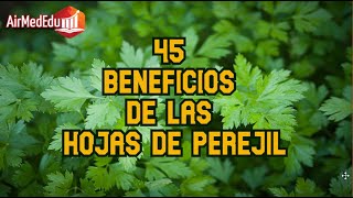 45 Beneficios de las Hojas de Perejil