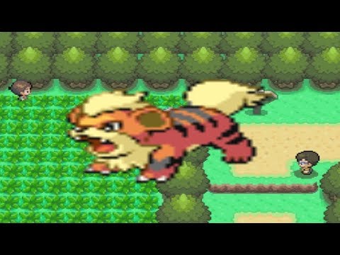 How to find Growlithe in Pokemon Diamond and Pearl How to find Growlithe in Pokemon Diamond and Pearl