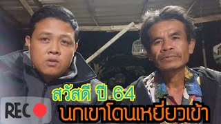 สวัสดีปี 64 (นกเขาโดนเหยี่ยวเข้า)