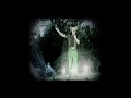 Tim McGraw - The Last Dollar (Fly Away) (Official Music Video)