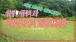 매각종결]성춘향과 이몽룡의 고장 잘 관리된 농지 283평 996만원~ 온비드공매,소액부동산, 소액투자,