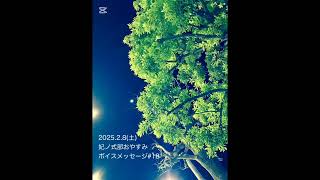 2025.2.5(水)〜11(火)妃ノ式部「星宵声つづり#15〜21」