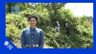 2017年 #7 香川県漁協青壮年部連絡協議会植林地 下草刈り | 海と日本PROJECT in かがわ