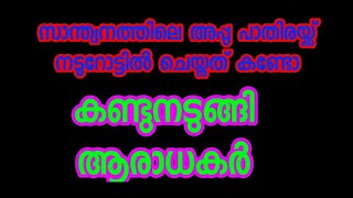 സാന്ത്വനത്തിലെ അപ്പു പാതിരായ്ക്ക് നടുറോട്ടിൽ ചെയ്തതുകണ്ടോ