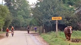 Daily life in the Polish countryside in 1978/79 - Blonie, Poniatowo, Treblinka [HD/AI upscaled].