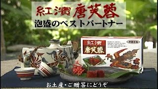 紅濱の唐芙蓉　TV-CM