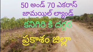 50 AND 70 ACRES OF AGRIGALTURAL LAND FOR SALE.. PRAKASAM DISTRICT.. KANIGIRI. PH. NO. 8464955677