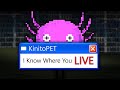 The Game That TOOK OVER My COMPUTER | KinitoPET