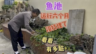 鱼池1年清理2次照样水清鱼靓，看运行6个月的鱼池如何排污