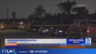 Man found shot to death in car near Disneyland 