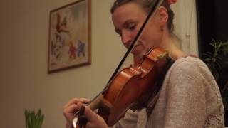 The Ashplant Reel -  Irish Traditional Music with Jennikel Andersson \u0026 Svante Kvarnström