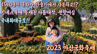 2023년 마산국화축제 | 한줄기에서 1540송이 국화가?!  | 국내최대규모 | 가을 꽃축제 | 강추