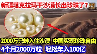 新疆塔克拉玛干沙漠长出珍珠了？2000万只贝苗入住沙漠，中国实现珍珠自由，4个月2000万粒，轻松年入100亿！#海鲜 /#沙漠养殖 #珍珠