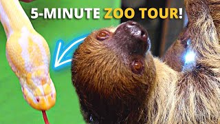 ZOO TOUR! GO BEHIND THE SCENES AT THE REPTARIUM INTERACTIVE AND HANDS-ON REPTILE ZOO!