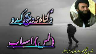 د ګناه نه د بچ کيدو لس اسباب  شیخ سردار ولی ثاقب رحمه الله pashto bayan shaikh sardar wali