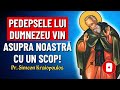 pedepsele lui dumnezeu au ca scop întoarcerea noastră la pocăință – pr. simeon kraiopoulos