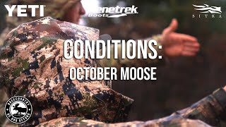 CONDITIONS: October Moose