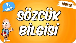 Sözcük Bilgisi 📙 1.Sınıf Türkçe #2024