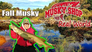 Fall Crankbait Picks/Musky Shop Real World