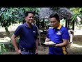 mango farming paano magtanim ng mangga na 300 400 kilo ang halaga a success story mr. espejo