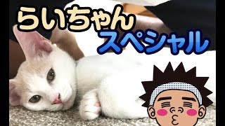 【サンシャイン池崎猫】らいちゃんＳＰ！ふうらい絵巻~其の八~