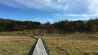 池の平湿原