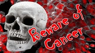 ಕ್ಯಾನ್ಸರನ್ನು ತಡೆಗಟ್ಟುವ ಅದ್ಭುತ ಆಹಾರಗಳು / Super Foods That May Help Prevent Cancer / Kannada