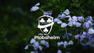 Vidéo institutionnelle - Commune de Plobsheim