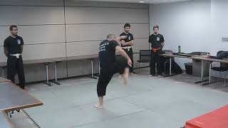 Choy Lee Fut Double Daggers Basics