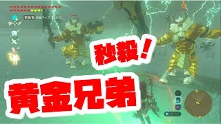 【ゼルダの伝説】黄金ライネル2体同時討伐のやり方説明。スーパープレイを見せます！ブレスオブザワイルドの攻略実況動画【naotin】