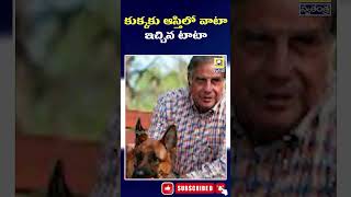 కుక్కకు ఆస్తిలో వాటా ఇచ్చిన టాటా | Ratan Tata Gave Share In His Property To His Pet Dog