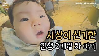 육아브이로그 | 2개월 아기의 하루24시간vlog | 초보엄마아빠 | korean baby | 먹고놀고자고 | Korean life | 먹고자고 | a daily of korean