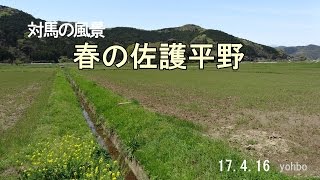 春の佐護平野 170416