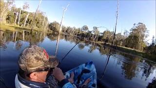 Little Topwater Yak Barra. Still better than laying in bed.