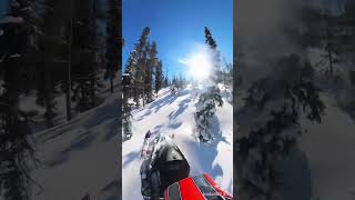 Sled ripping into the trees! #fyp #polaris #snowmobile #sledders #polaris900 #bluebird #shorts