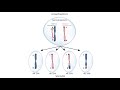 USMLE Step 1 Linkage Disequilibrium