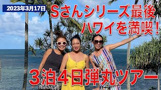 天国の海で知られる人気のサンドバー、2023年砂浜が見れる日を公開！