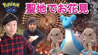 【ポケモンGO】夜桜天保山！ハリーと再びアイツを獲得!?【お花見】