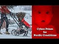 Cybex Priam for Nordic Conditions?