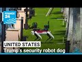 Spot, Donald Trump's security robot dog • FRANCE 24 English