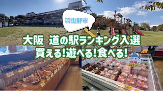 【大阪道の駅ランキング常連】羽曳野 しらとりの郷 子連れのお出かけにオススメ 大型遊具 BBQ 芝生滑り 産直市場 子供も喜ぶ (女の子2歳\u00260歳 育児)〜ありのママの姿見せるのよ〜子育てvlog