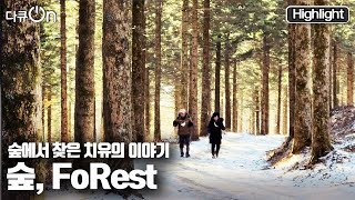 [다큐온] 다른 이들의 아픔을 어루만지는 🌲숲.우리를 회복시키는 숲의 힘은 어디에서 나오는 걸까? 